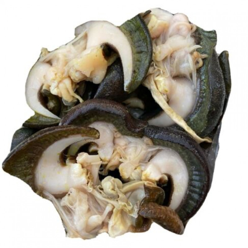 Frozen Deshelled Snails  jumbo size 6 piece