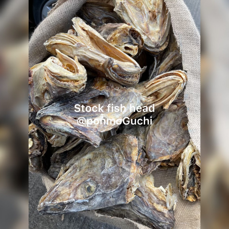 Stockfish Head