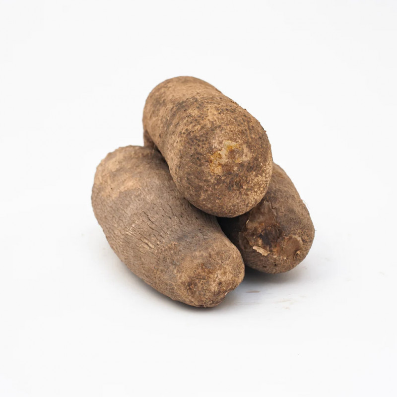 Fresh Puna Yam one tuber