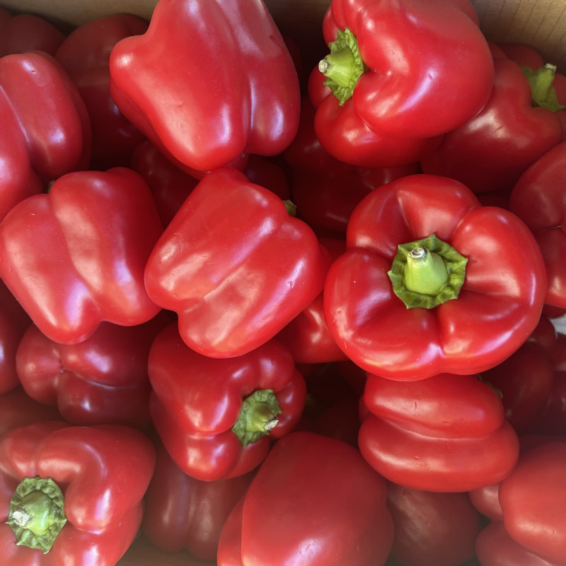 Fresh bell pepper (Red capsicum) half box