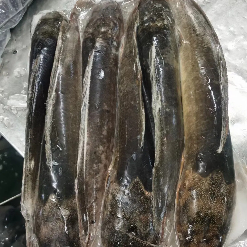 Catfish (Frozen) half box 2.5kg