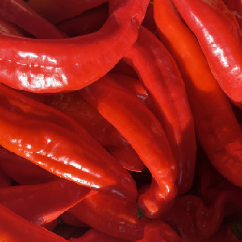 Fresh Red Long Pepper box