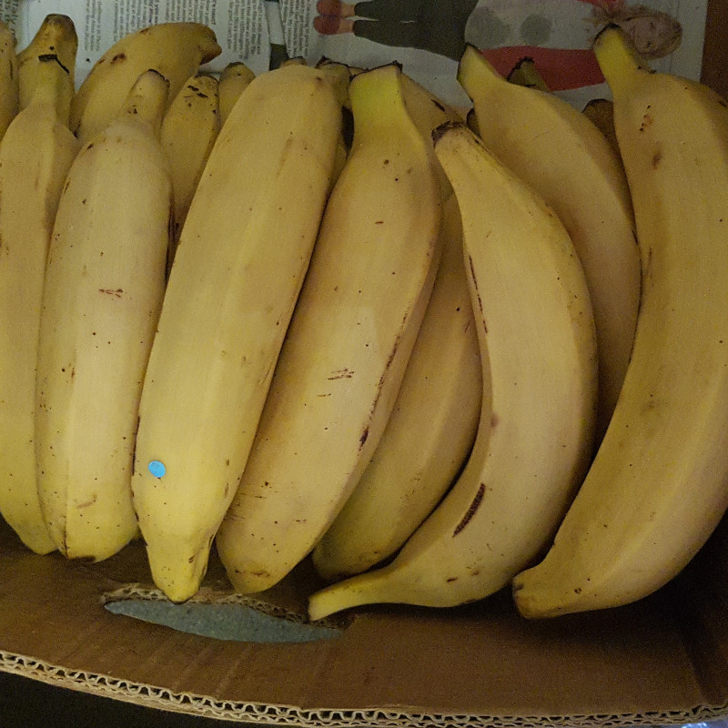 Ripe yellow Plantain  full box