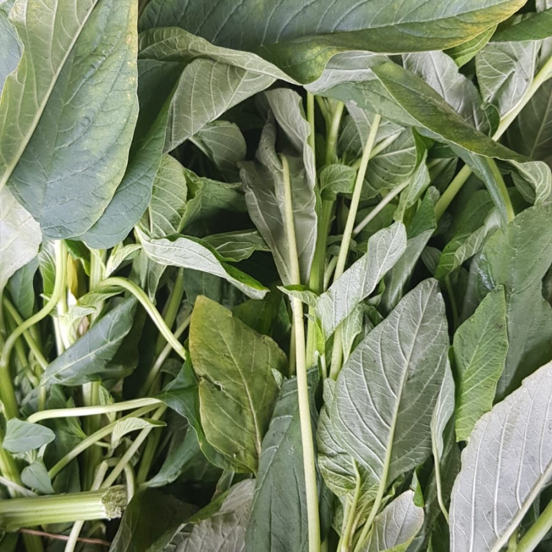 Fresh Tete/Green/Biteku Leaves