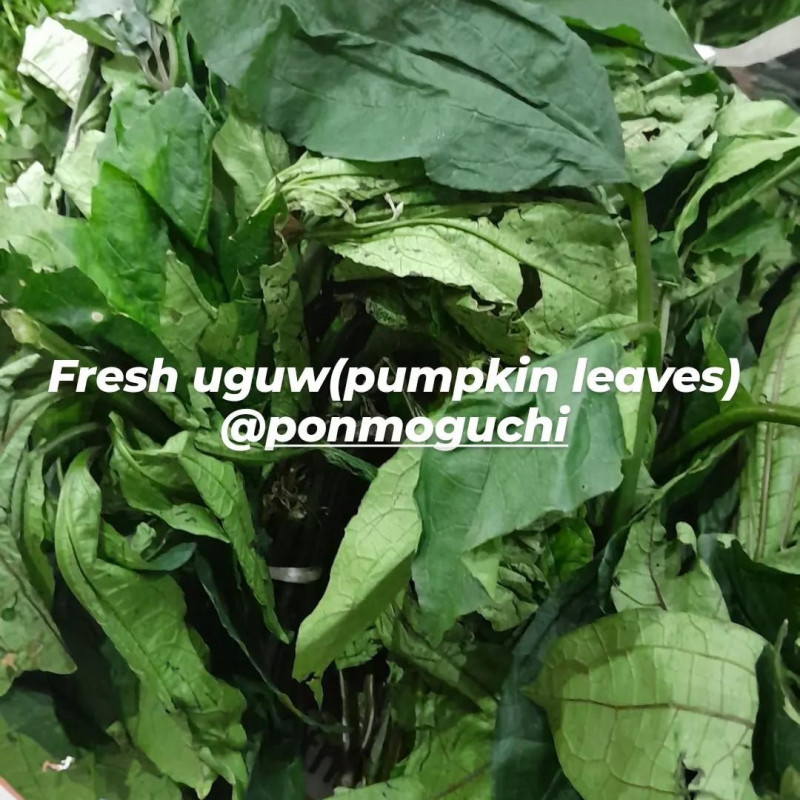 Fresh Ugwu Leaves(Pumpkin leaves)