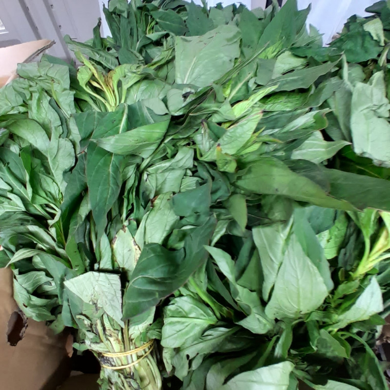 Fresh Soko Leaves