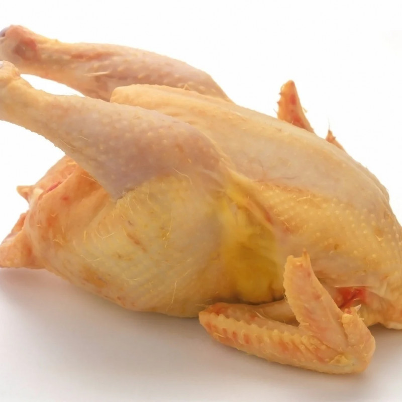 Whole  chicken  Hen box 10kg ( Hard chicken )