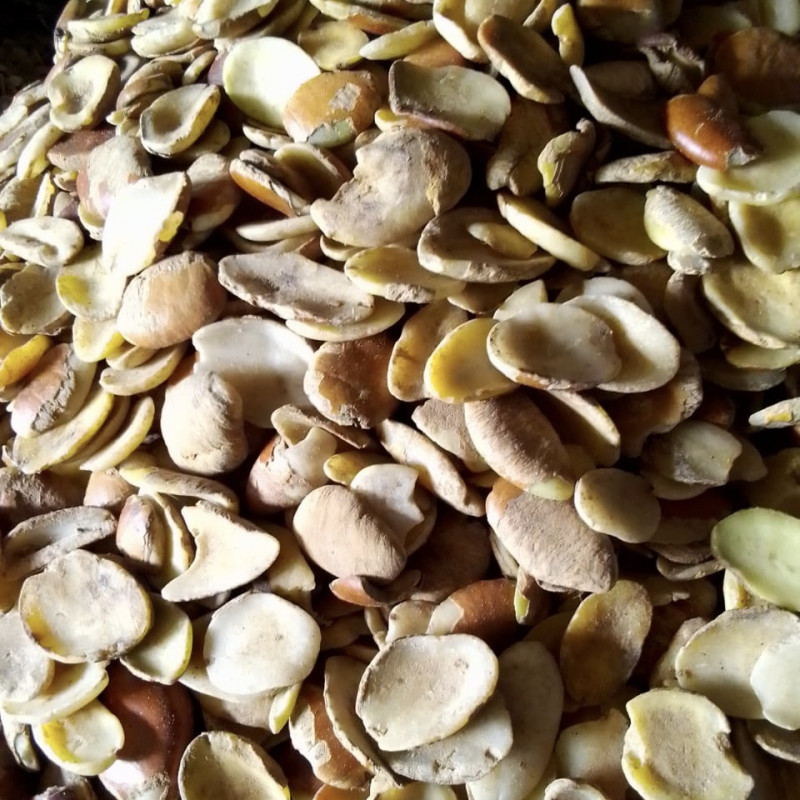 Ogbono Whole Seeds 200g