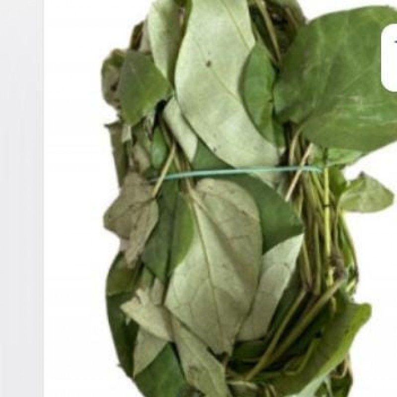 Fresh Uziza leaves