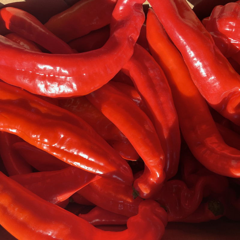 Fresh Red Long Pepper 700g