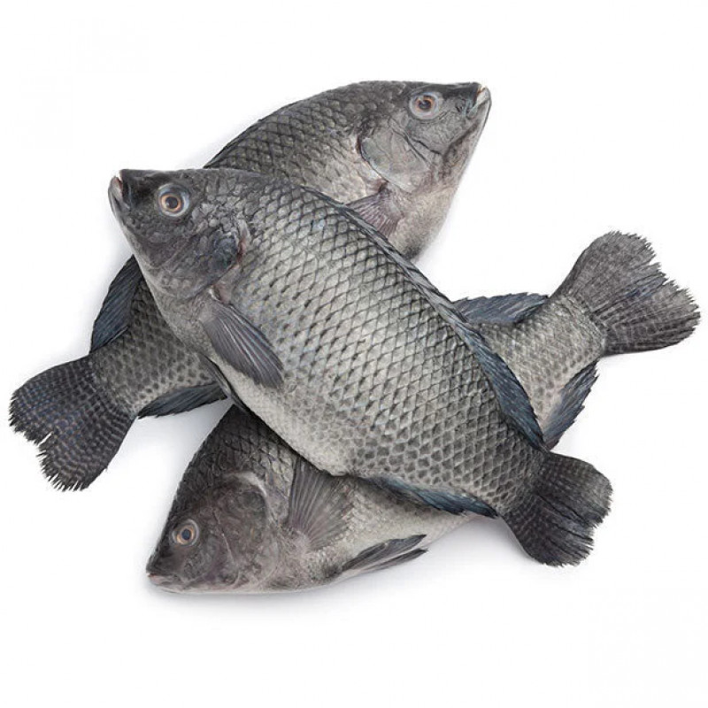 Frozen Tilapia  whole Fish half box 2.5kg