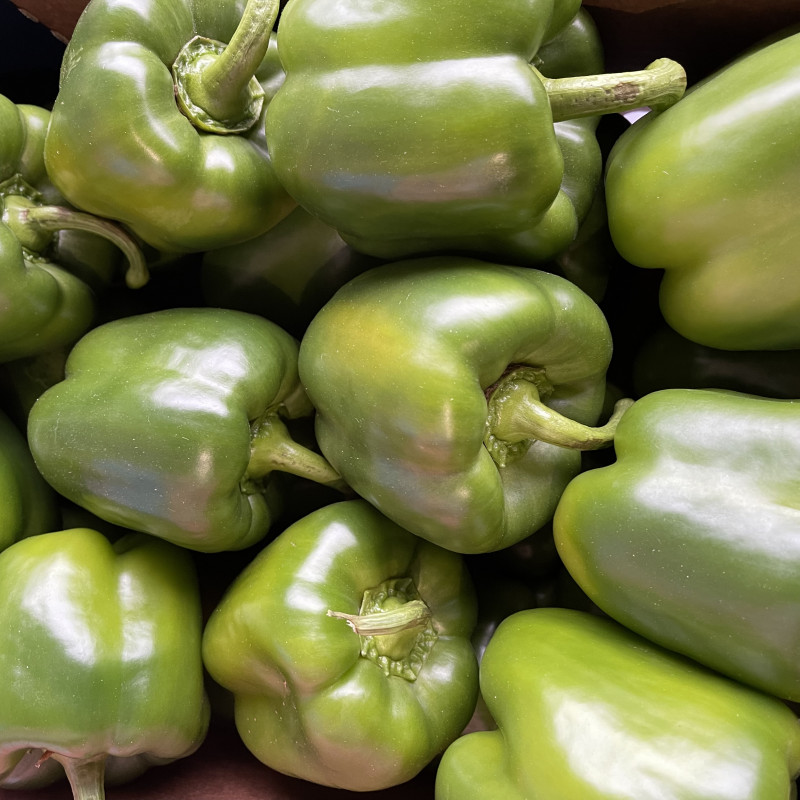 Fresh Bell Pepper Green