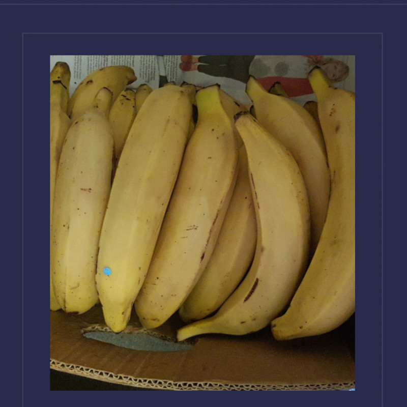 Ripe yellow Plantain half box 10kg