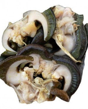 Frozen Deshelled Snails  jumbo size 6 piece