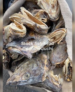 Stockfish Head