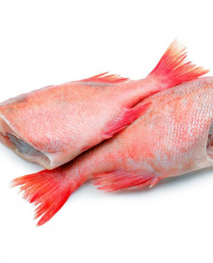 Red Bream headless-Fish 7kg box