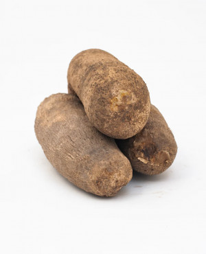 Fresh Puna Yam one tuber