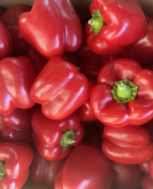 Fresh bell pepper (Red capsicum) half box