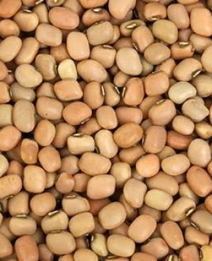 Honey (Oloyin) Beans 4kg