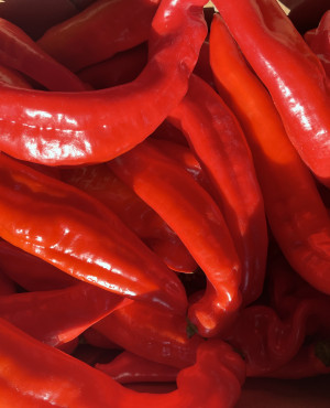 Fresh Red Long Pepper box