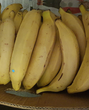 Ripe yellow Plantain  full box