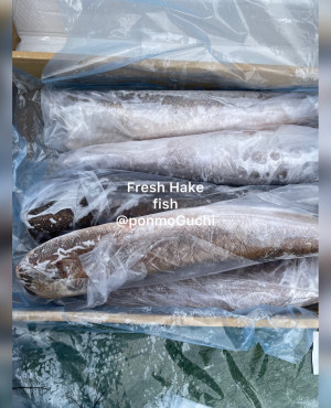 Frozen Hake Fish 10kg box