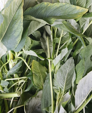 Fresh Tete/Green/Biteku Leaves