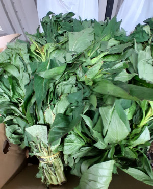 Fresh Soko Leaves