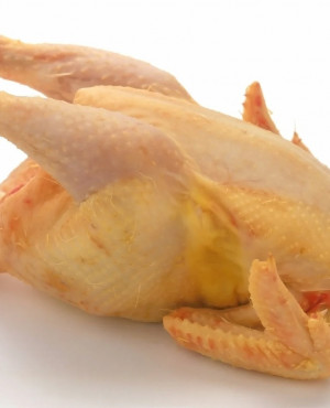 Whole  chicken  Hen box 10kg ( Hard chicken )