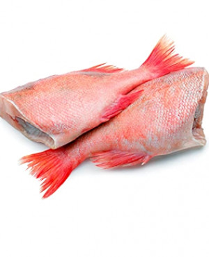 Headless Red Bream Fish 1.5kg