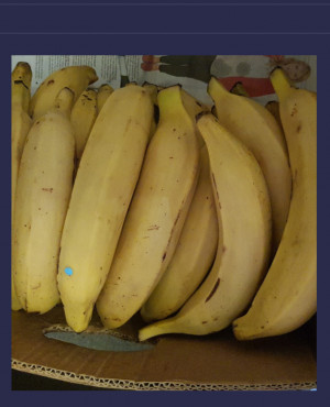 ripe yellow Plantain half box