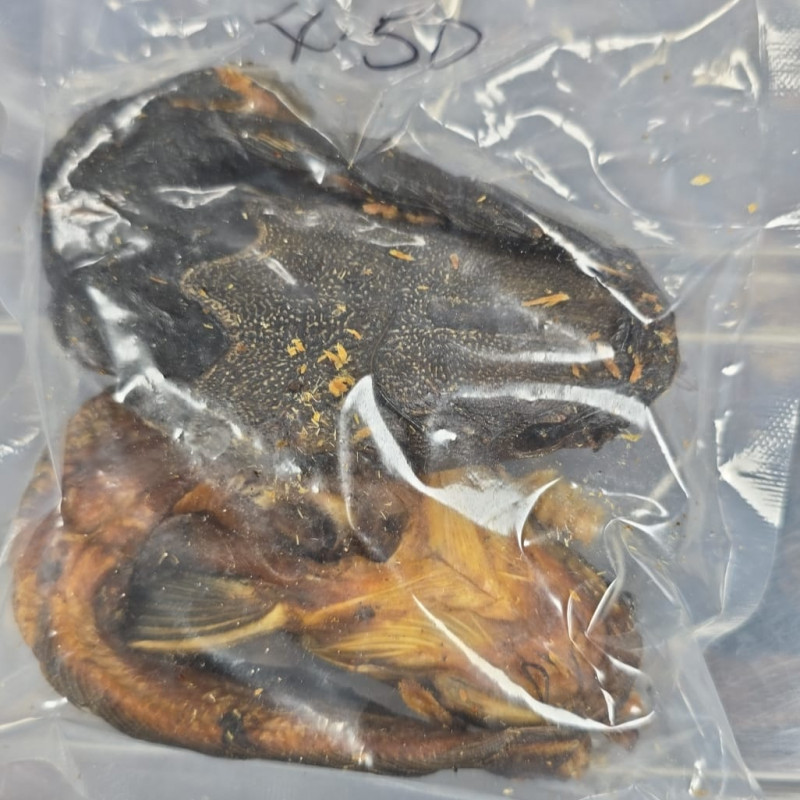 Dried Catfish