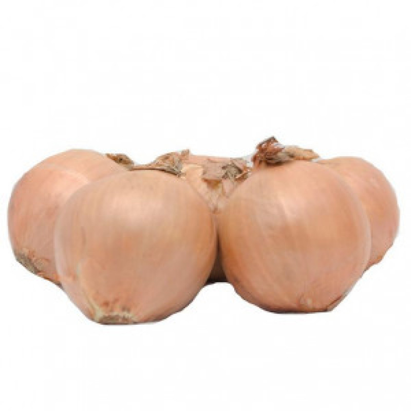 White  Onion