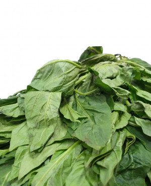 Fresh Soko Leaves