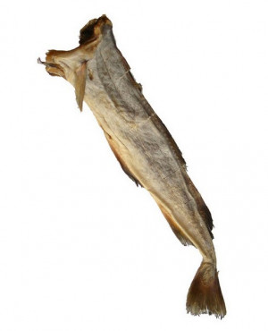 Stock fish tusk whole