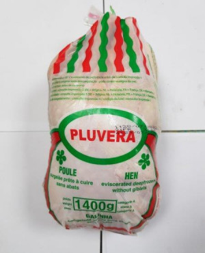 Pluvera Hen