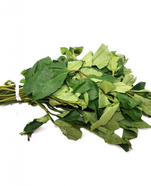 Ugu Leaf