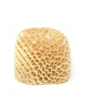 Honey Comb Tripe