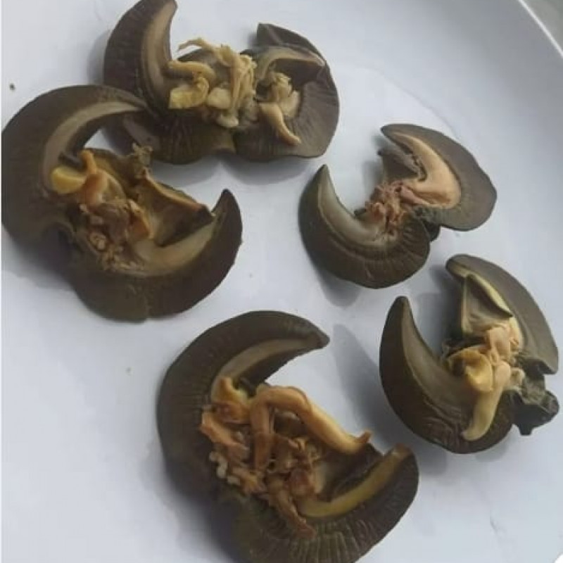 Oven Dried Snail