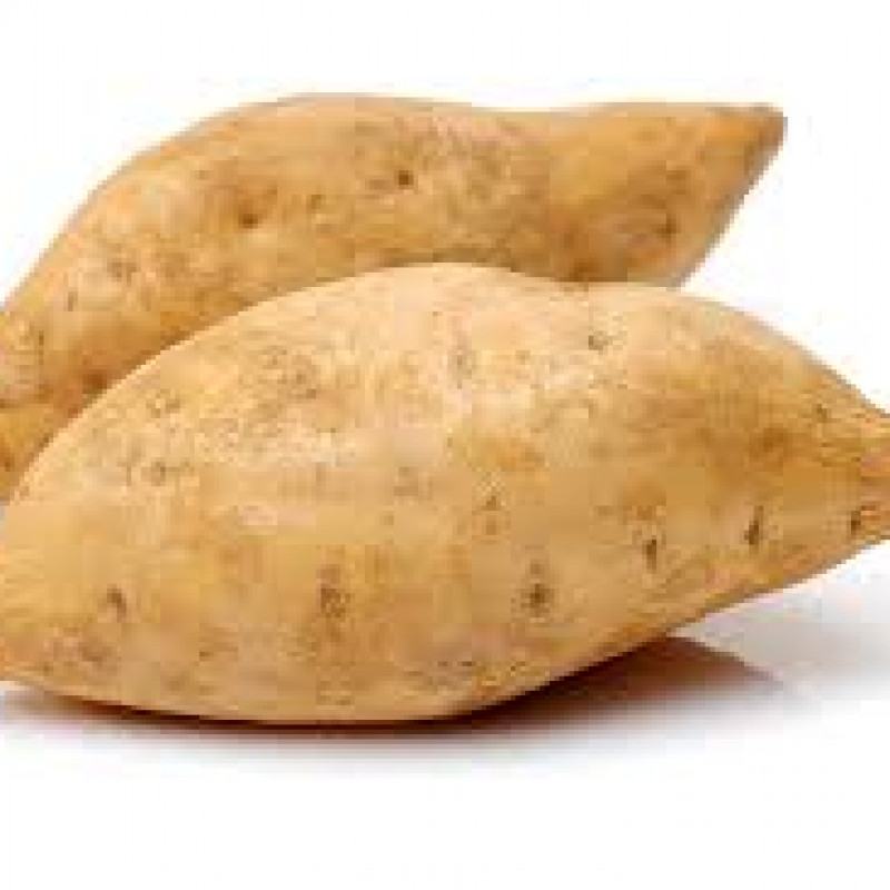 African White Sweet Potato