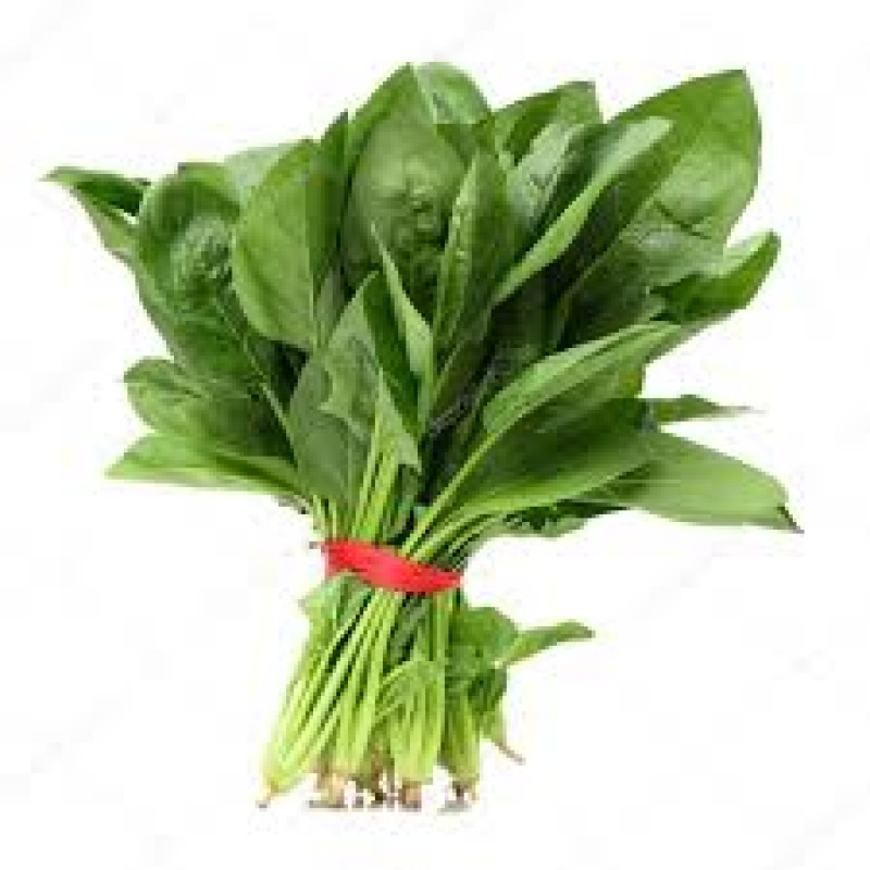 Fresh Spinach  Bunch