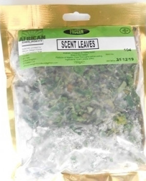 Frozen scentleaf