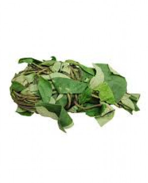 Fresh Uziza Leaves