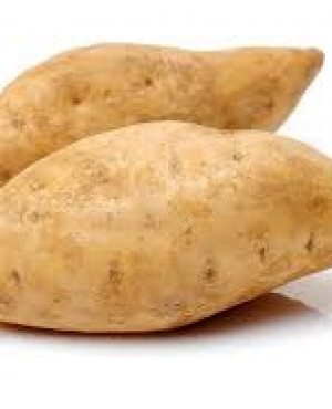 African White Sweet Potato