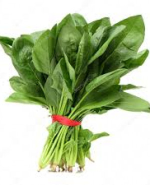 Fresh Spinach  Bunch