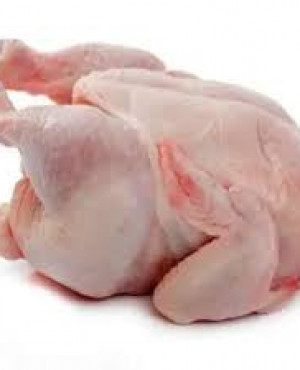 Frozen Hard Chicken (Jolly)