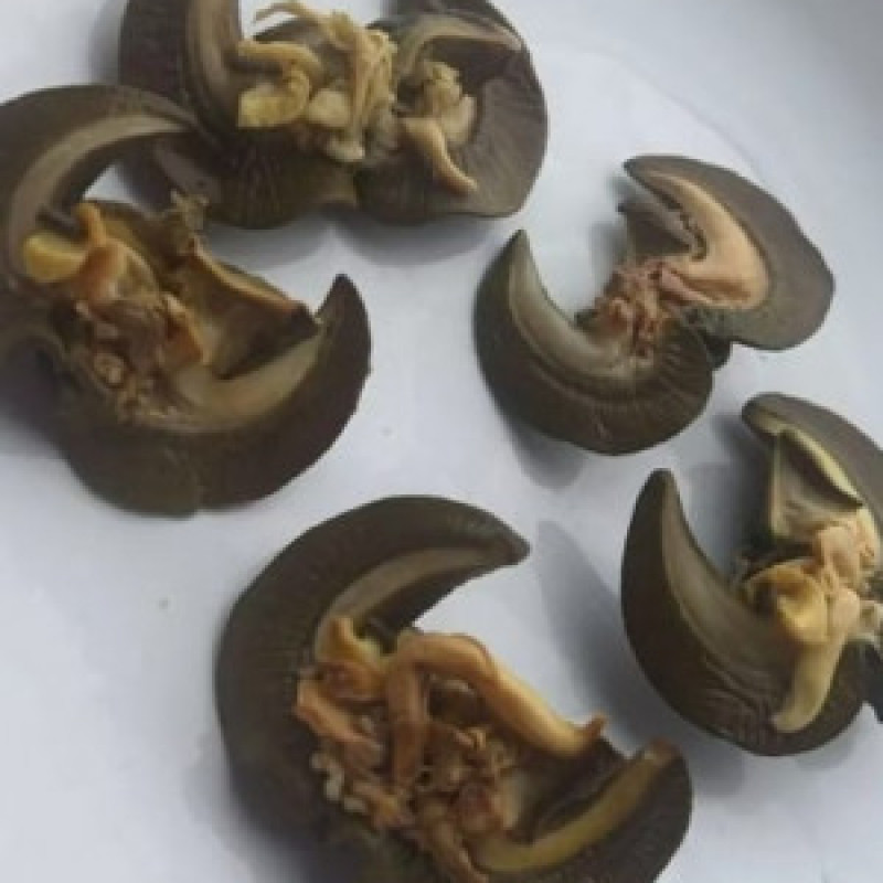 Oven Dried Snail