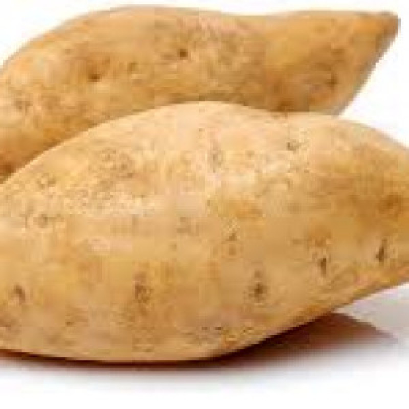 African White Sweet Potato