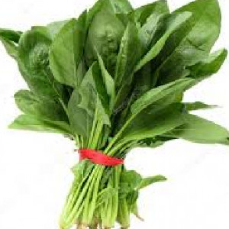 Fresh Spinach Bunch