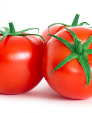 Fresh Tomatoes